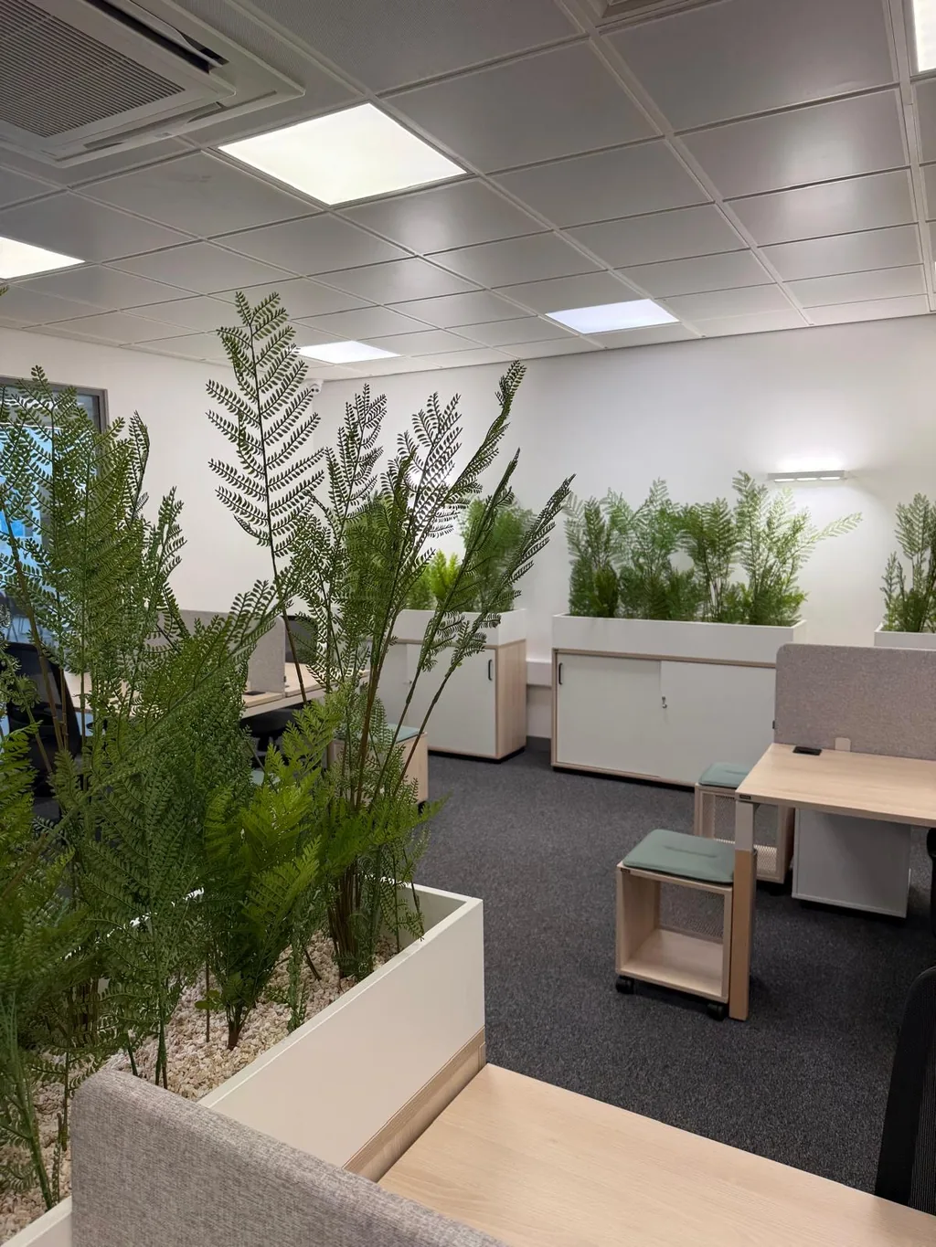School Student Services view 13