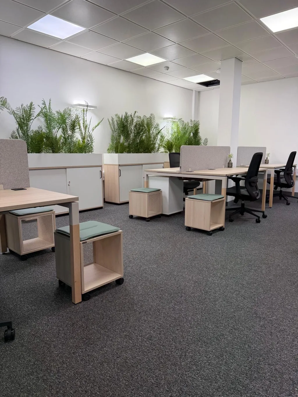 School Student Services view 14