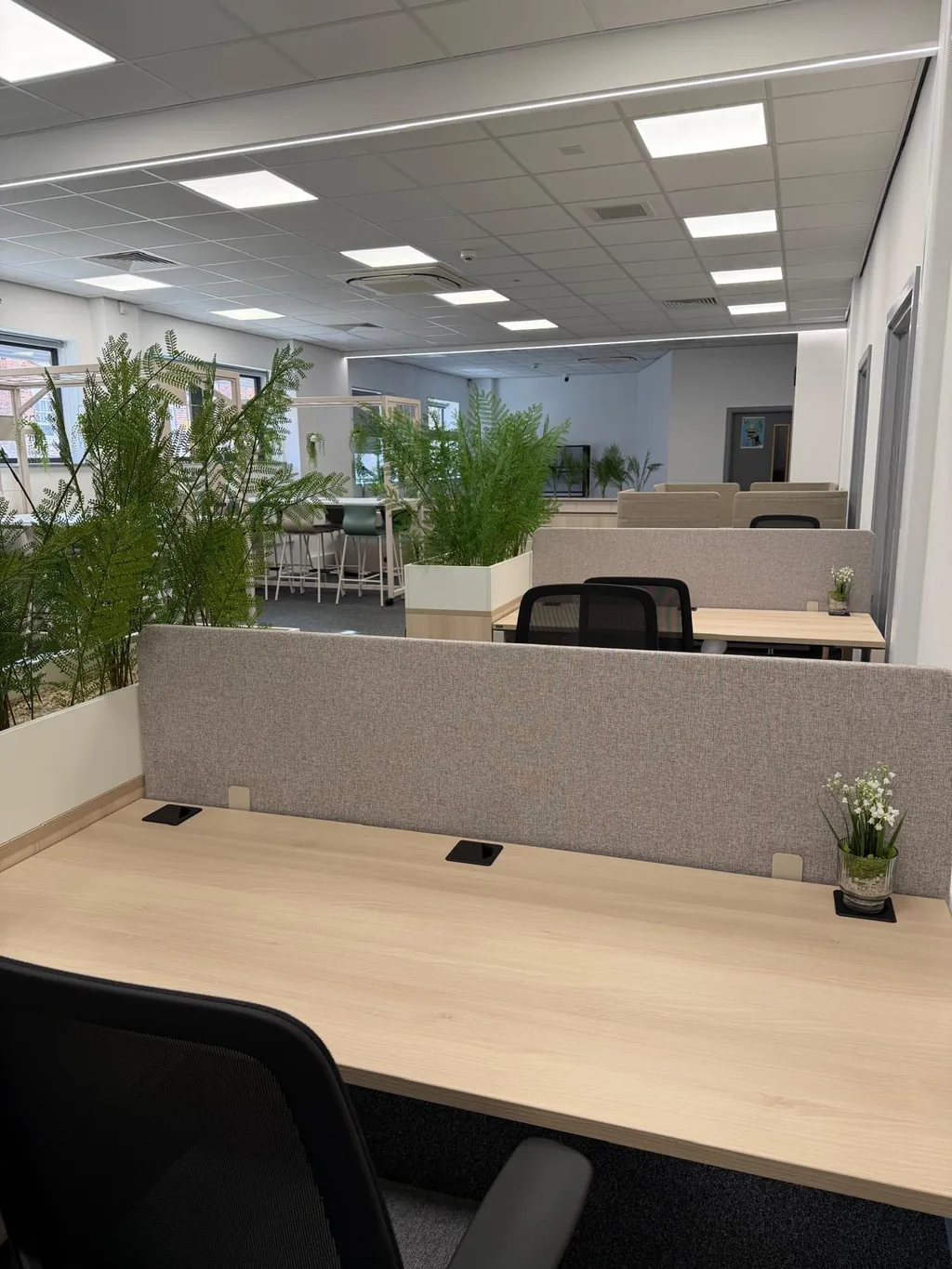 Student Services Hub view 3