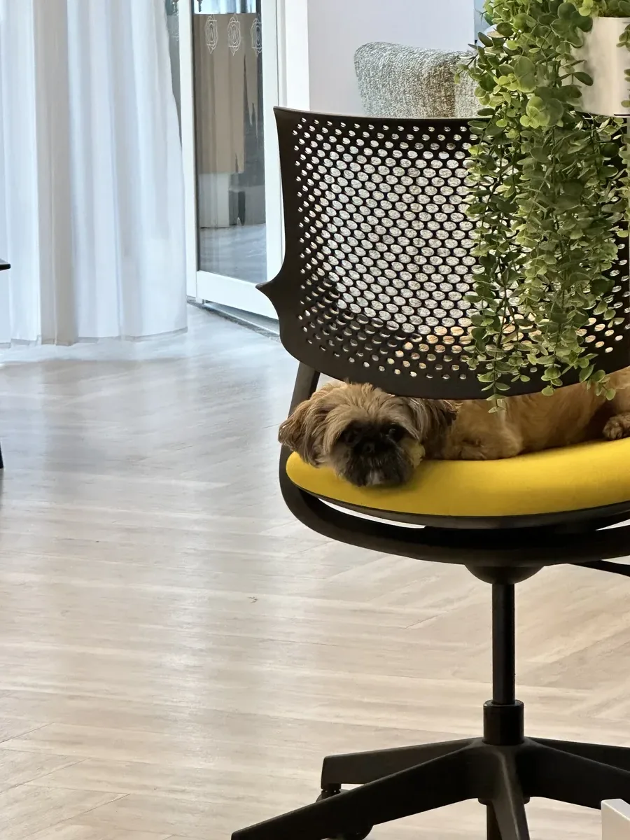 Modern school desk arrangement with storage