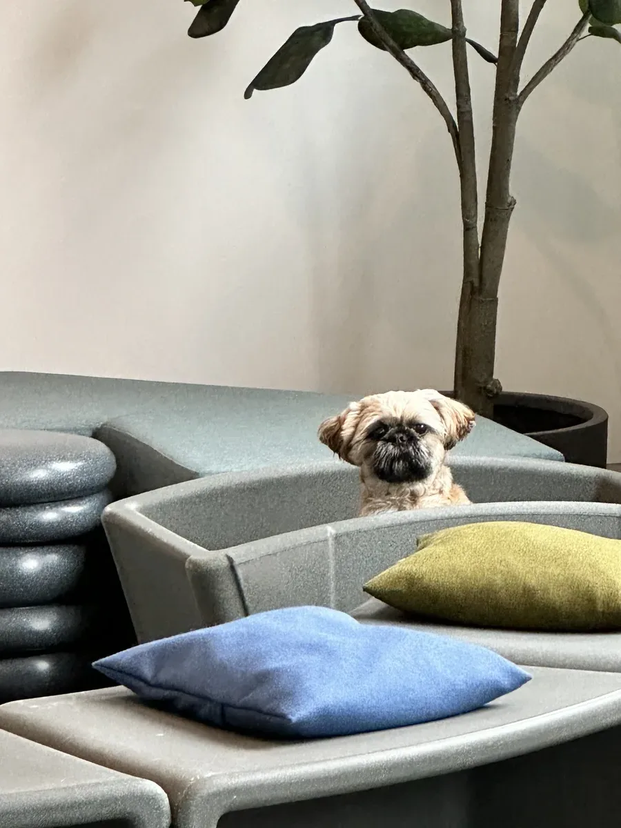 Collaborative learning space furniture layout