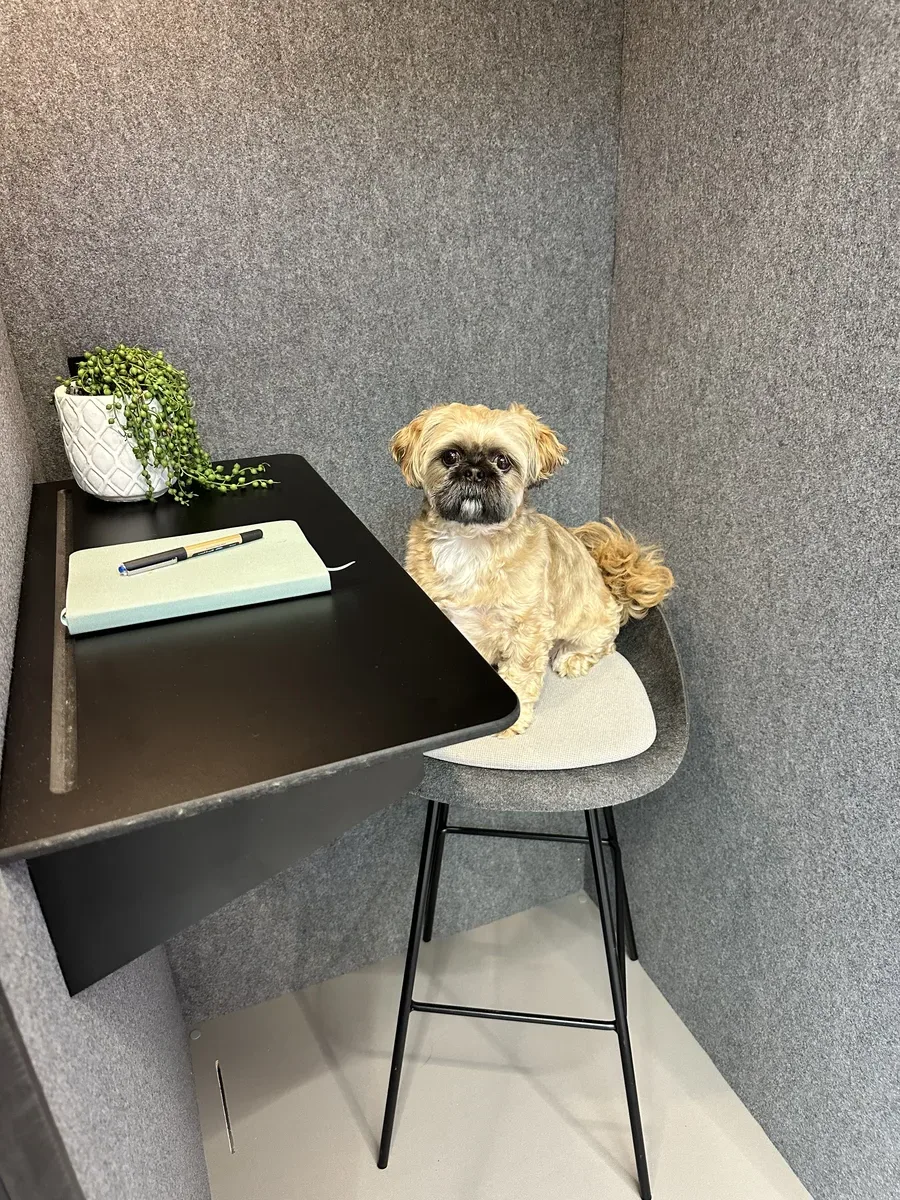 Ergonomic seating solutions for education