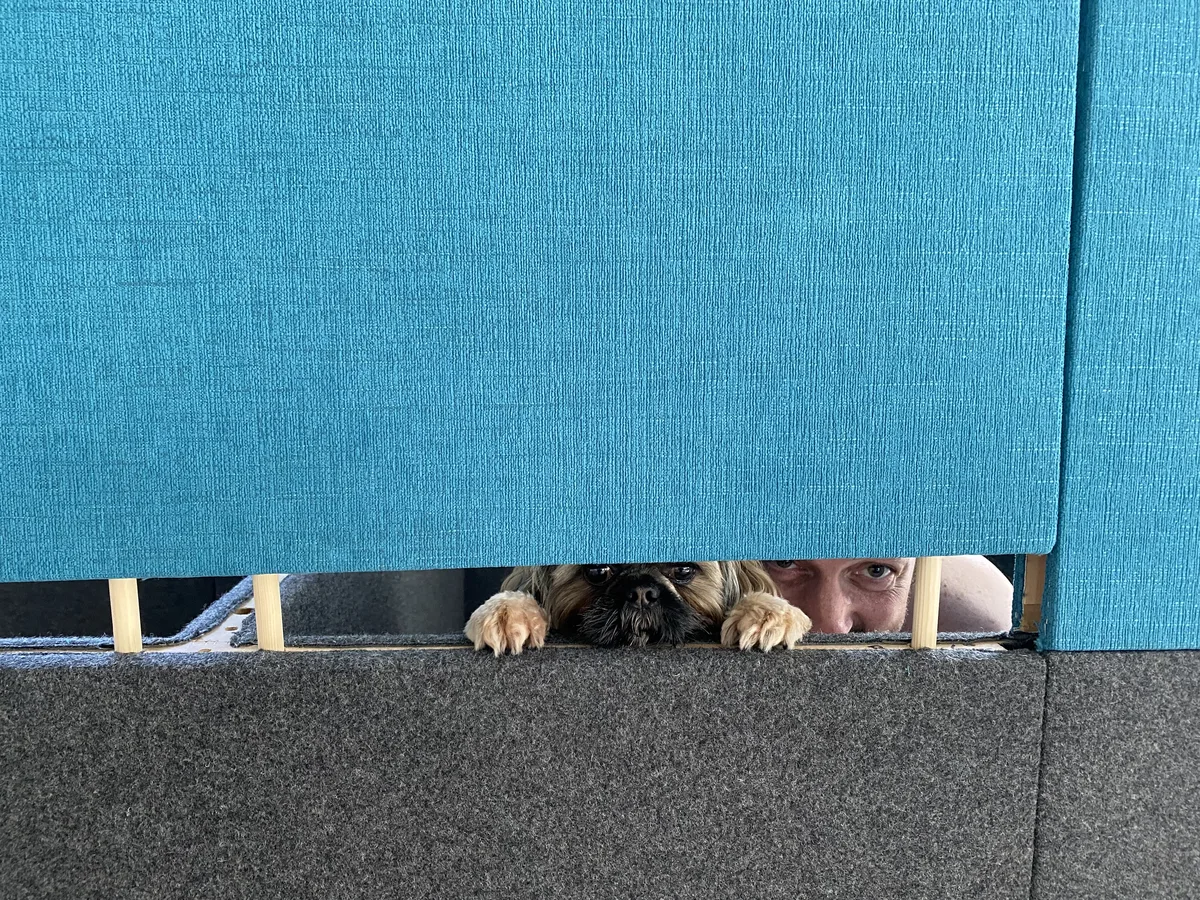 Breakout area with soft seating and café furniture